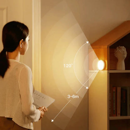 Magic Motion Sensor LED White Light